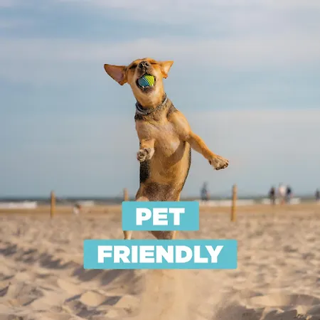 公寓 Tommy 1 利尼亚诺萨比亚多罗